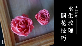 「永生玫瑰」一招放大兩倍，沒人敢教你這麼多｜花藝教學｜花裡 FORi Flower