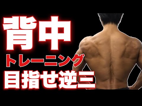 【筋トレ】脂肪燃焼にも最適！せどらーが背中のトレーニングで悶絶