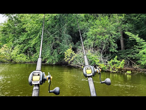 This River Is LOADED WITH FISH!! (Biggest ever and tournament prefishing)