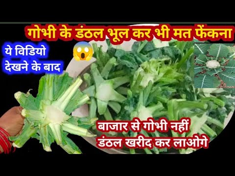 गोभी के डंठल से बनाये ऐसी रेसिपी की अब डंठल फेकेंगे नहीं बल्कि खरीदेगे |CAULIFLOWER STEM#KITCHENHACK