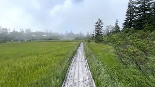 Shinsen Numa marsh Hokkaido 2022/08/12