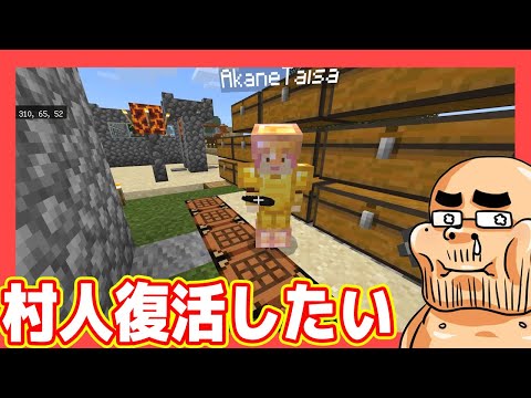 村人を復活させたい【マインクラフト#13】