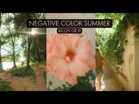 Negative Color Summer - Ricoh GR III Film Simulation