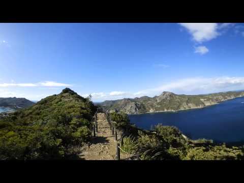 【360度動画】電信山遊歩道　小笠原諸島