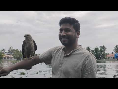 Gods Own Country |  Backwater Tour | Kerala | India | 4K Video