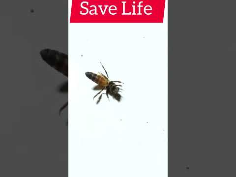 save Life #viral #trending #shorts