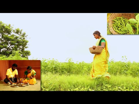 Cluster Beans Harvesting / Cluster beans Curry with Chapathi/ Goruchikkudu Curry/ Chowlakaya Curry