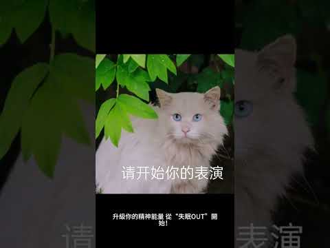 失眠out-為什麼要解決失眠問題.mp4