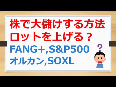 株で大儲けする方法は、ロットを上げる？　FANG+、S&P500、オルカン、SOXL【有村ポウの資産運用】241220