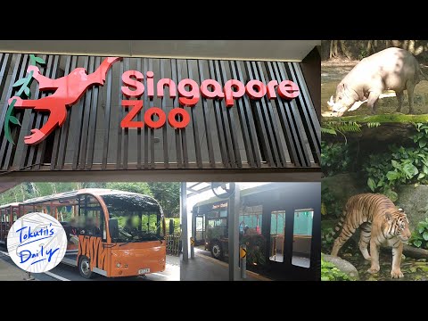 I recommend the Singapore Zoo! Two ways to get there.  Animals close to their natural environment.