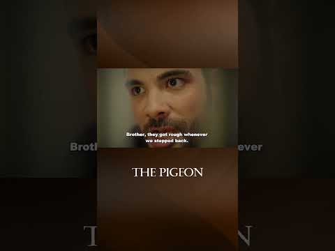 Tell Me Where is The Well - The Pigeon Episode #shorts