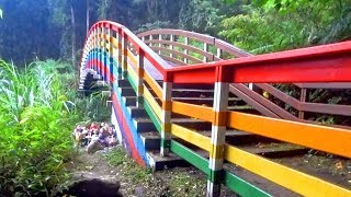 溪頭一日遊溪頭自然教育園區彩虹步道彩虹橋 XITOU Nature Education Area (Taiwan)