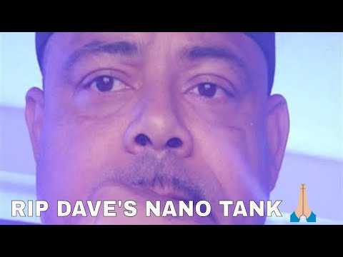 RIP DAVE LEMBO ''aka'' DAVE'S NANO TANK!