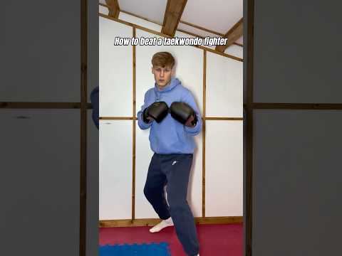 How to beat a TAEKWONDO fighter…