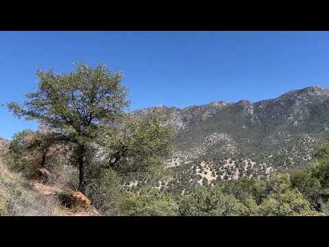 Madera Canyon 2, Randy "Windtalker" Motz, Native American style flute #naturebeauty