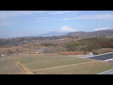 中伊豆シャトーT.S 富士山ライブカメラ