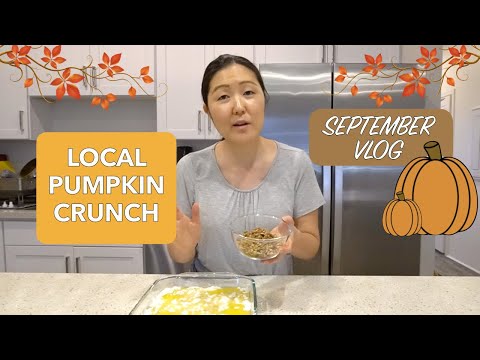 Excited for Fall! Easy Pumpkin Crunch Recipe, Postpartum Updates, Whole Foods, Family Gatherings