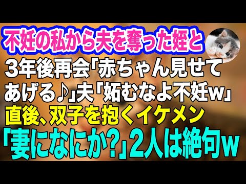 夫を奪った姪と3年ぶりに偶然再会「独身オバさんに赤ちゃん見せてあげる♪」夫「妬むなよ不妊w」→直後、双子を抱くイケメン「妻がお世話になってます」2人「はっ？」【スカッとする話】