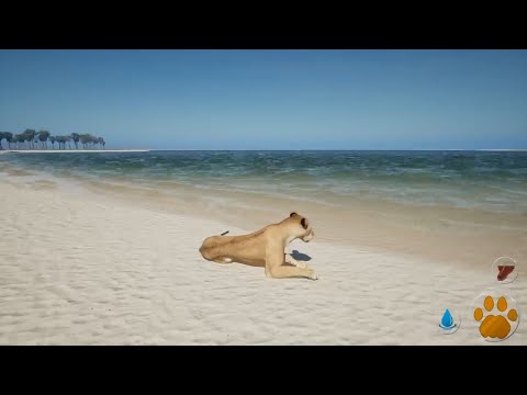 Primal Earth | Lioness relaxing on the beach