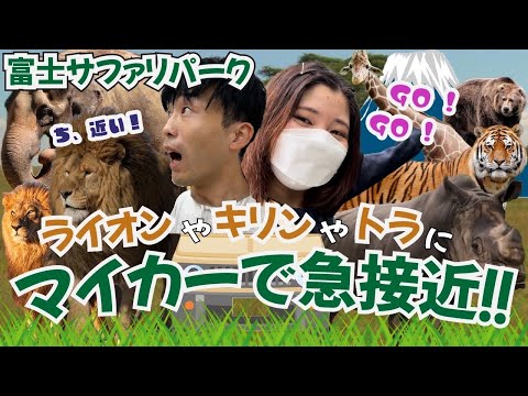 猛獣が迫る！！ライオンに食べられかける⁉︎魅力がたっぷり富士サファリパーク‼︎【富士サファリパーク①】