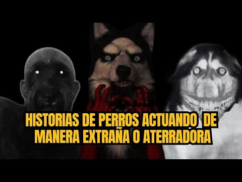 1 hora de historias de perros actuando de forma extraña y Aterrador.