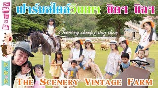 The Scenery Vintage Farm ฟาร์มสไตล์วินเทจ ชิคๆ ชิลๆ