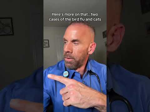 5 Things Pet Owners Need to Know About Bird Flu