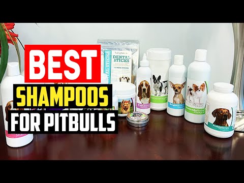 ✅ Top 5 Best Shampoos for Pitbulls of 2023