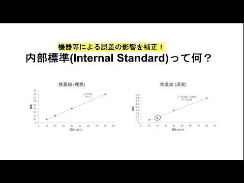 内部標準(IS)とは