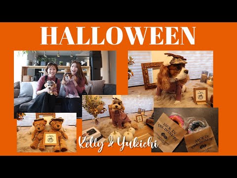 🐶👩我ら、うまうま探偵団🔍🐾｜キャバリアとマルプーのHalloween party Vlog🎃