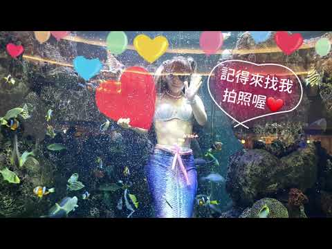 大葉高島屋-小編帶你逛 | 美人魚姐姐餵魚秀