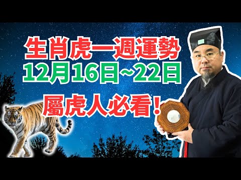 命理測算：屬虎人一週運勢（12月16日至22日），內含吉凶日，非看不可！ #生肖虎2025年運勢 #生肖虎2025年運程 #屬虎人2025年運勢 #屬虎人2025年運程