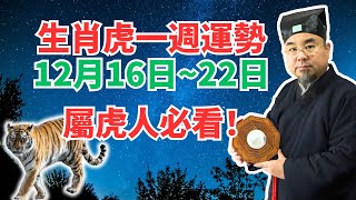 命理測算：屬虎人一週運勢（12月16日至22日），內含吉凶日，非看不可！ #生肖虎2025年運勢 #生肖虎2025年運程 #屬虎人2025年運勢 #屬虎人2025年運程