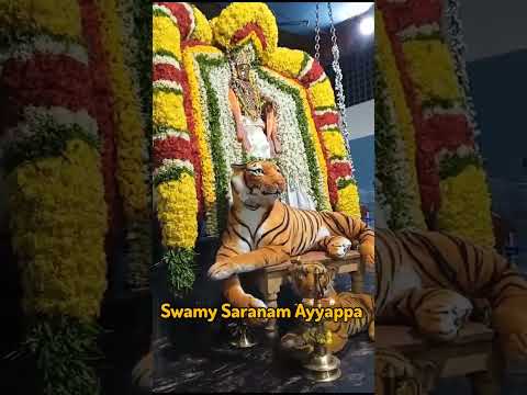 swamy Saranam Ayyappa #shorts #youtubeshorts #ayyappaswamysongs #ayyappa