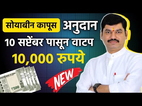 Soyabean Cotton Subsidy || सोयाबीन कापूस अनुदान 10 सप्टेंबर पासून वाटप || kapus soyabin Anudan