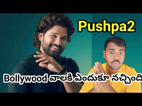 Pushpa 2 Bollywood వలకీ ఎందుకూ నచ్చింది || Pushpa 2 International Collection Report