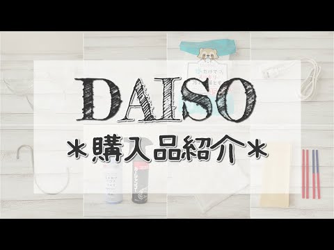 【ダイソー購入品】正しくないハンガーピンチの使い方紹介ほか、新年早速日用品を買いに行きました。☆100均購入品紹介☆