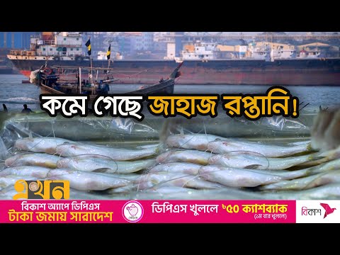 চট্টগ্রাম থেকে বিশ্ববাজারে রপ্তানি হচ্ছে হিমায়িত মাছ | টেকনাফ থেকে তেঁতুলিয়া | Documentary of Bd