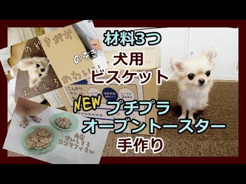 【材料3つ】犬用ビスケット（クッキー）🍪を新しいプチプラ🌟オーブントースターで手作りしてみた~3 ingredients handmade  biscuits  for dogs 🐶cookie