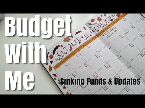 Budget With Me - Sinking Funds Update & Monthly Progress | Inconsistent Income; Capital One Savings