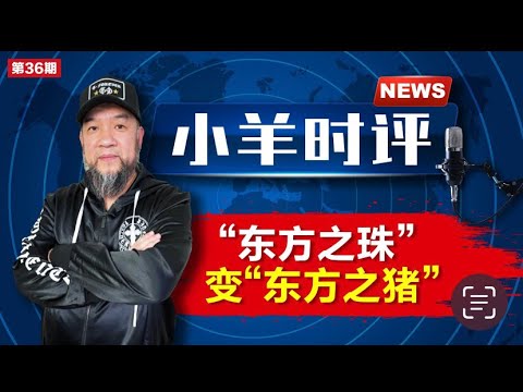 小羊之鼓与呼  第36期  20230912  东方之珠惨变东方之猪