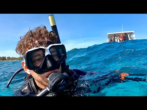 Getting High during Scuba Diving in Honduras!🇭🇳