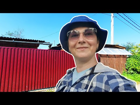 Why do Russians Have Fences Everywhere? Answer Your Questions about My Garden