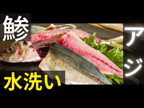 鯵 あじ 水洗い｜ピンポイント解説