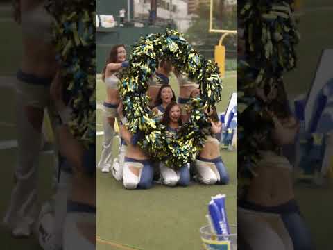 2024/09 All Mitsubishi Lions Cheerleaders #cheerleader