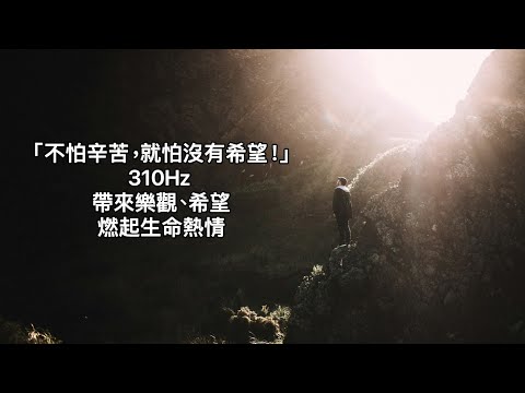 310Hz Willingness 希望樂觀:希望。我們不怕辛苦，就怕沒有希望。樂意面對內在的狀況，具有從逆境中崛起並學到經驗的能力。