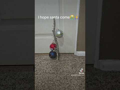 pigeons throw bread at bro💔 #christmas #santa #tiktok #youtubeshorts #fypviral #funny #meme #joke