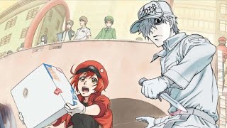 Cells At Work Episode 1 Part 1 English Dub HD Full Screen