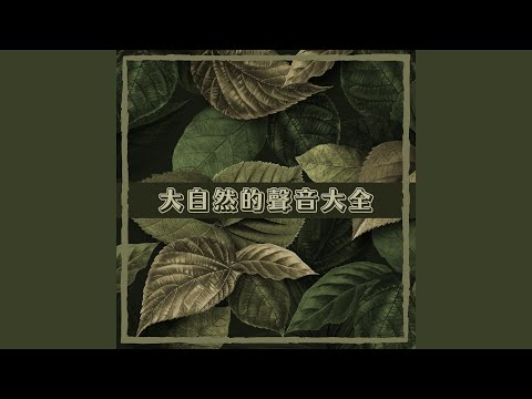 瀑布白噪音