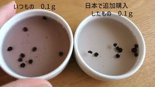 elderberry　比較してみました